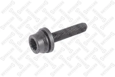 Screw, intake collector STELOX 81-0851-SX