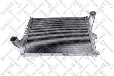Intake air radiator Stellox 81-10807-SX