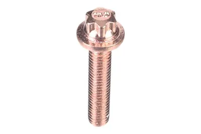 Screw, intake collector STELOX 89-00715-SX