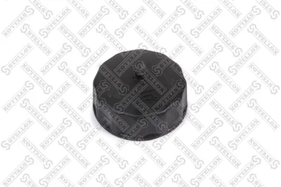 Cover, oil filling tubing StellOX 89-04607-SX