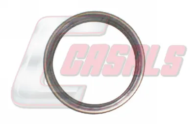 Brake for axles, wheel bearing CASALS 20215