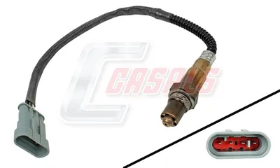 Lambda CASALS probe 65767
