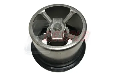 Thermostat, CASALS 65901 refrigerant