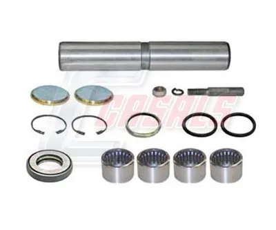 Repair set, pivot of the CASALS 69131 shaft