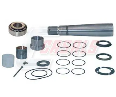 Repair set, pivot of the CASALS 69169 shaft