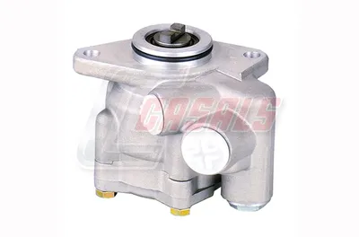 Hydraulic pump, CASALS 97553 steering
