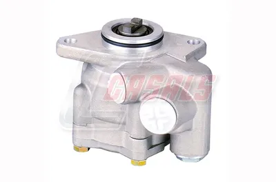 Hydraulic pump, CASALS 97570 steering
