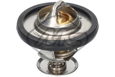 Thermostat, coolant Ford TRANSIT V363 Bus · Ford TRANSIT V363 Van · Ford TRANSIT V363 Platform/Chassis