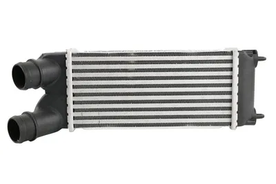 Charge Air Cooler Citroën BERLINGO / BERLINGO FIRST Box Body/MPV · Citroën BERLINGO / BERLINGO FIRST MPV · Citroën BERLINGO MULTISPACE