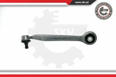 Control/Trailing Arm, wheel suspension Audi A4 B5 · Audi A8 D2 · Audi A6 C5