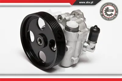 Hydraulic Pump, steering Citroën EVASION MPV · Citroën JUMPY I · Citroën JUMPY I Van