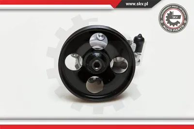Hydraulic Pump, steering Citroën EVASION MPV · Citroën JUMPY I · Citroën JUMPY I Van