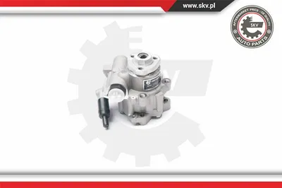 Hydraulic Pump, steering Vw LT 28-35 II Bus · Vw LT 28-46 II Van · Vw LT 28-46 II Platform/Chassis