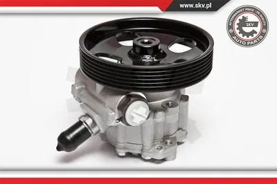 Hydraulic Pump, steering Citroën BERLINGO MULTISPACE · Citroën BERLINGO Box Body/MPV · Peugeot PARTNER TEPEE