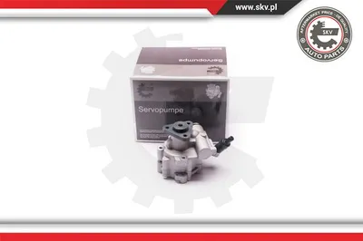 Hydraulic Pump, steering Citroën NEMO Box Body/MPV · Citroën NEMO MPV · Fiat STRADA Pickup