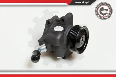 Hydraulic Pump, steering Ford FIESTA V · Ford FUSION · Mazda 2