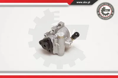 Hydraulic Pump, steering Ford ESCORT V · Ford ESCORT VI