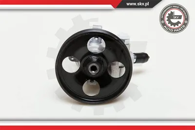 Hydraulic Pump, steering Citroën BERLINGO / BERLINGO FIRST Box Body/MPV · Citroën BERLINGO / BERLINGO FIRST MPV · Peugeot PARTNER Box Body/MPV