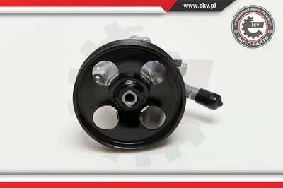 Hydraulic Pump, steering Citroën C4 Coupe · Citroën C4 I · Citroën C5 II