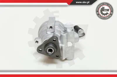 Hydraulic Pump, steering Iveco DAILY IV Van · Iveco DAILY IV Platform/Chassis · Iveco DAILY IV Bus