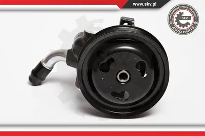 Hydraulic Pump, steering Ford ESCORT VI · Ford ESCORT VI Saloon · Ford ESCORT VI Turnier
