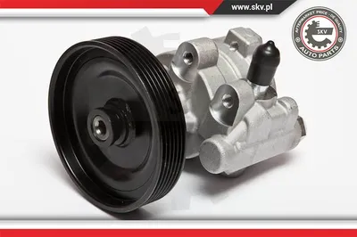Hydraulic Pump, steering Renault CLIO I · Renault 19 II Cabriolet · Renault 19 I