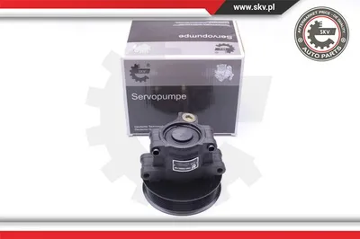 Hydraulic Pump, steering Ford TRANSIT Bus · Ford TRANSIT Van · Ford TRANSIT Platform/Chassis