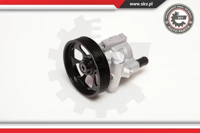 Hydraulic Pump, steering Renault LAGUNA I · Renault ESPACE III · Renault MASTER II Van
