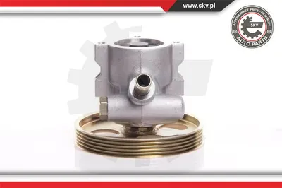 Hydraulic Pump, steering Citroën BERLINGO / BERLINGO FIRST Box Body/MPV · Citroën BERLINGO / BERLINGO FIRST MPV · Citroën XSARA