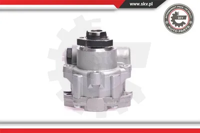 Hydraulic Pump, steering Vw TRANSPORTER T4 Bus · Vw TRANSPORTER T4 Van · Vw TRANSPORTER T4 Platform/Chassis (70E, 70L, 70M, 7DE, 7DL, 7D