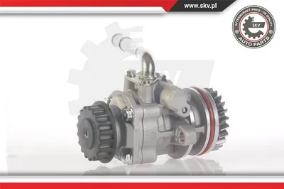 Hydraulic Pump, steering Vw TOUAREG · Vw MULTIVAN T5 · Vw TRANSPORTER T5 Platform/Chassis (7JD, 7JE, 7JL, 7JY, 7JZ, 7F