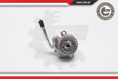Hydraulic Pump, steering Vw MULTIVAN T5 · Vw TRANSPORTER T5 Platform/Chassis (7JD, 7JE, 7JL, 7JY, 7JZ, 7F · Vw TRANSPORTER T5 Van