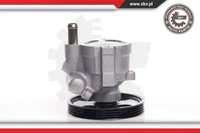 Hydraulic Pump, steering Renault CLIO I · Renault MEGANE I · Renault MEGANE I Coach