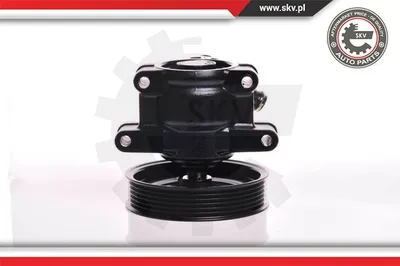 Hydraulic Pump, steering Ford FIESTA IV · Ford FIESTA Box Body/MPV · Ford KA