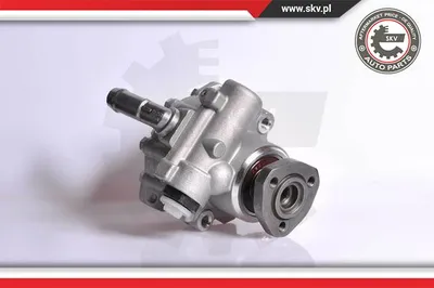 Hydraulic Pump, steering Seat CORDOBA · Seat TOLEDO I · Seat IBIZA II