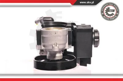 Hydraulic Pump, steering Citroën BERLINGO / BERLINGO FIRST Box Body/MPV · Citroën BERLINGO / BERLINGO FIRST MPV · Citroën XSARA PICASSO
