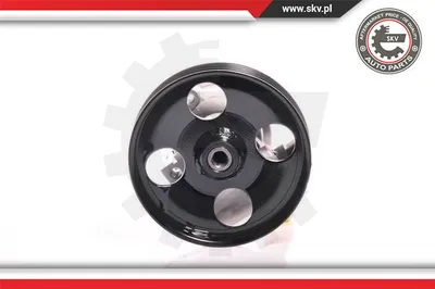 Hydraulic Pump, steering Citroën BERLINGO / BERLINGO FIRST MPV · Peugeot PARTNER Box Body/MPV · Peugeot PARTNER MPV