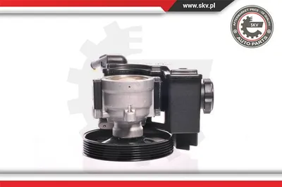Hydraulic Pump, steering Citroën C2 · Peugeot 206 Hatchback · Peugeot 206 SW