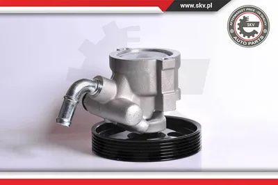Hydraulic Pump, steering Citroën BERLINGO / BERLINGO FIRST Box Body/MPV · Citroën BERLINGO / BERLINGO FIRST MPV · Citroën XSARA PICASSO
