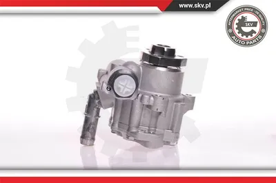 Hydraulic Pump, steering Audi A3 · Seat INCA · Seat TOLEDO II