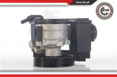 Hydraulic Pump, steering Citroën BERLINGO / BERLINGO FIRST Box Body/MPV · Citroën BERLINGO / BERLINGO FIRST MPV · Citroën XSARA