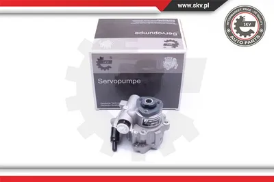 Hydraulic Pump, steering Vw TRANSPORTER T4 Bus · Vw TRANSPORTER T4 Van · Vw TRANSPORTER T4 Platform/Chassis (70E, 70L, 70M, 7DE, 7DL, 7D
