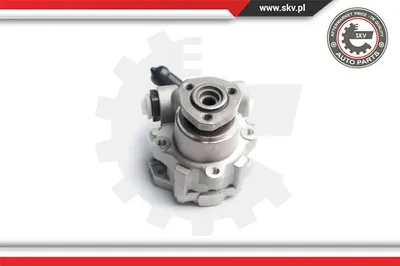 Hydraulic Pump, steering Seat TOLEDO I · Seat IBIZA II · Vw PASSAT B3/B4