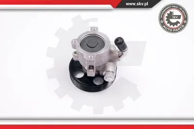 Hydraulic Pump, steering Citroën ZX · Citroën BERLINGO / BERLINGO FIRST Box Body/MPV · Citroën BERLINGO / BERLINGO FIRST MPV