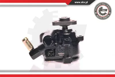 Hydraulic Pump, steering Ford FIESTA III · Ford FIESTA IV · Ford FIESTA Box Body/MPV
