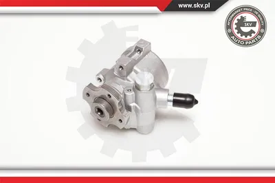 Hydraulic Pump, steering Citroën ZX · Citroën C25 Bus · Citroën BERLINGO / BERLINGO FIRST Box Body/MPV