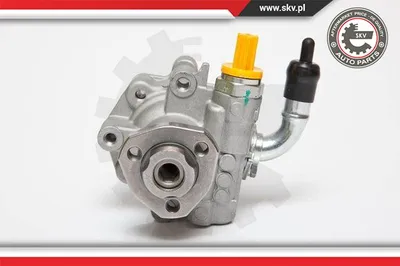 Hydraulic Pump, steering Vw MULTIVAN T5 · Vw TRANSPORTER T5 Platform/Chassis (7JD, 7JE, 7JL, 7JY, 7JZ, 7F · Vw TRANSPORTER T5 Van