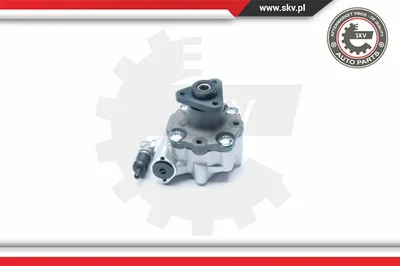 Hydraulic Pump, steering Audi A6 C6 · Audi A6 C6 Avant · Audi A6 Allroad C6