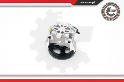 Hydraulic Pump, steering Ford TOURNEO CONNECT · Ford TRANSIT CONNECT