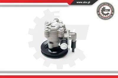 Hydraulic Pump, steering Hyundai ACCENT I · Hyundai ACCENT Saloon · Hyundai ACCENT II
